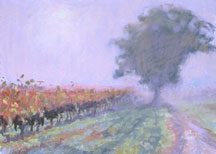September Grapevines in Morning Fog - Cahors