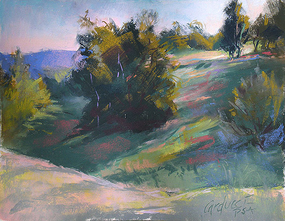 Artist Judith Carducci pastel landscape: Williams' Meadow, Late Afternoon - Domaine du Haut Baran, Le Quercy ©2009