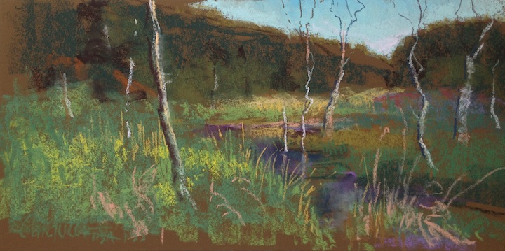 Artist Judith Carducci pastel landscape: The Swamp - Cuyahoga Valley National
            Park, Ohio ©2014